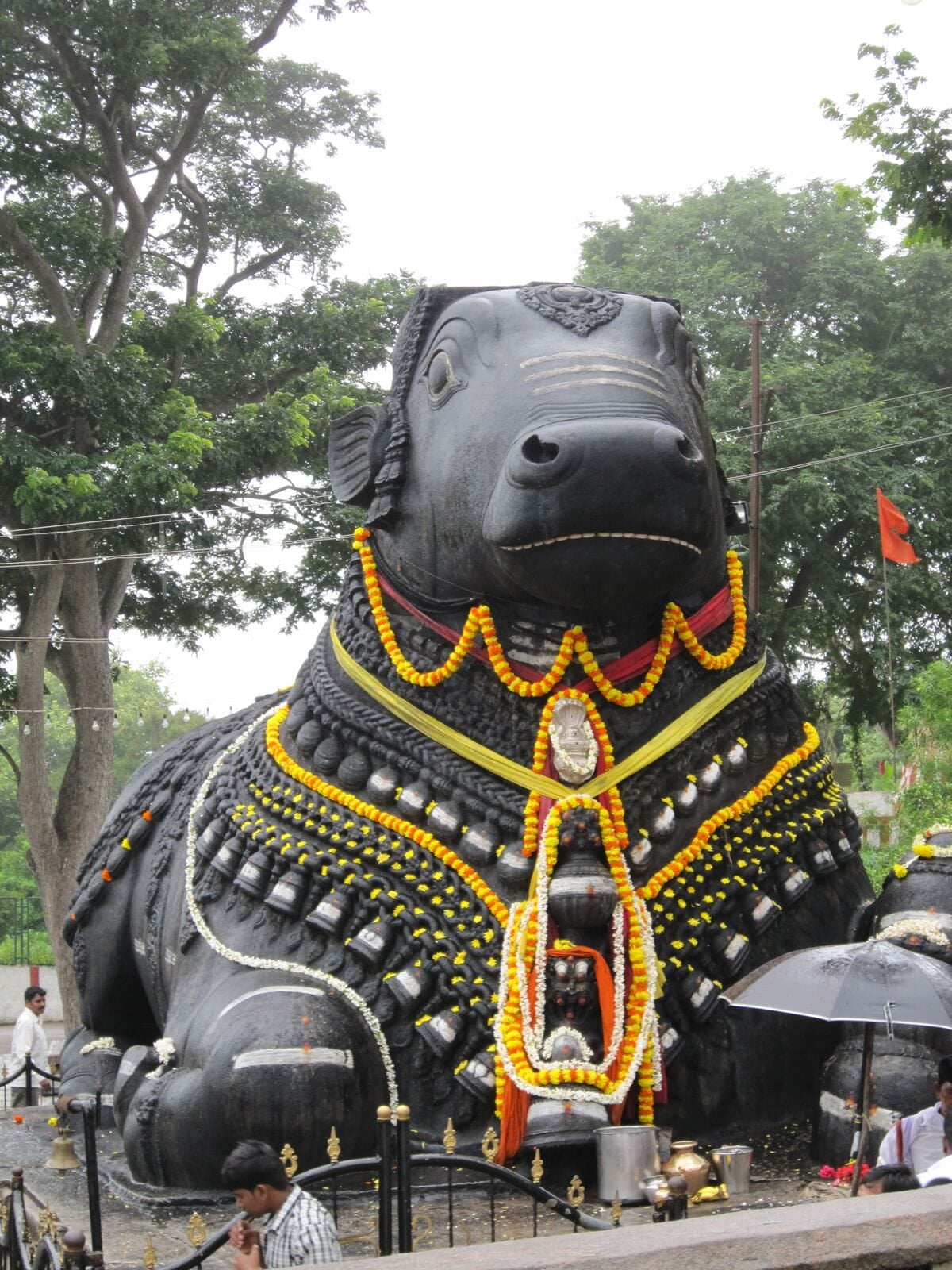 The Silent Watcher: Nandi