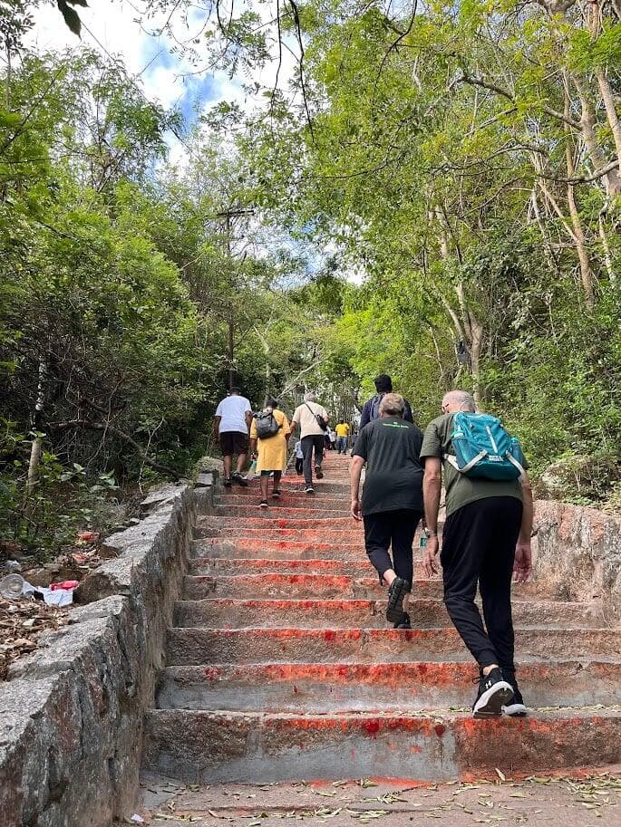 Group of urban explorers looking at a map